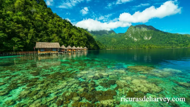 Keindahan Wisata Pantai Alam Terbesar Indonesia di Kalimantan